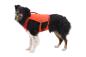 Preview: Ruffwear Confluence Hunde-Schwimmweste Tangelo Orange Gr. XS